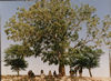 ?Mali