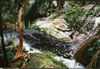 Bako national park, Sarawak, Borneo