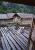 Longhouse, near Kapit, Sarawak, Borneo