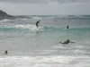 surfing at Sandbar - camping